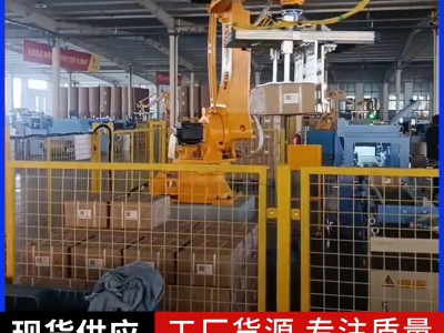 码垛机器人 乳制品搬运码垛机械臂图2