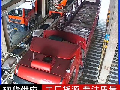 装车机 自动化码垛机器人装车系统图2